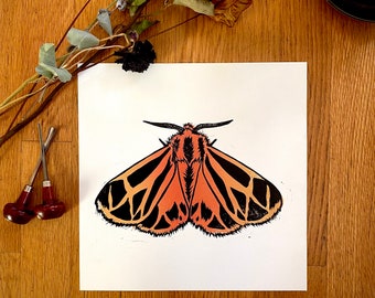 harnessed tiger moth | fine art block print 8 x 10”