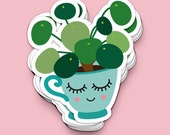 Plant kawaii car vinyl decal of a pilea peperomioides. Great crazy plant lady gift for every chinese money plant lover.