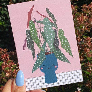 Postkarte Begonia Tupfenpflanze. Tolle Alltagskarte für eine Pflanzenmama, verrückte Pflanzensüchtige oder einen Freund.