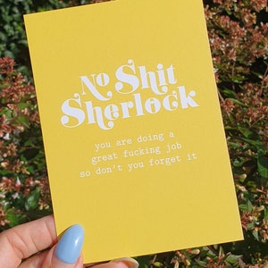 No Shit Sherlock geweldige functiekaart. Grappig No Shit Sherlock, je maakt een geweldige taakkaart. Geweldige vriendschapskaart