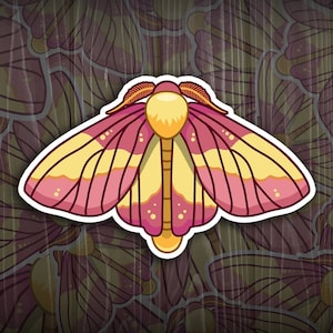 Rosy Maple Moth - Original Design