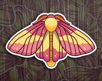 Rosy Maple Moth - Original Design