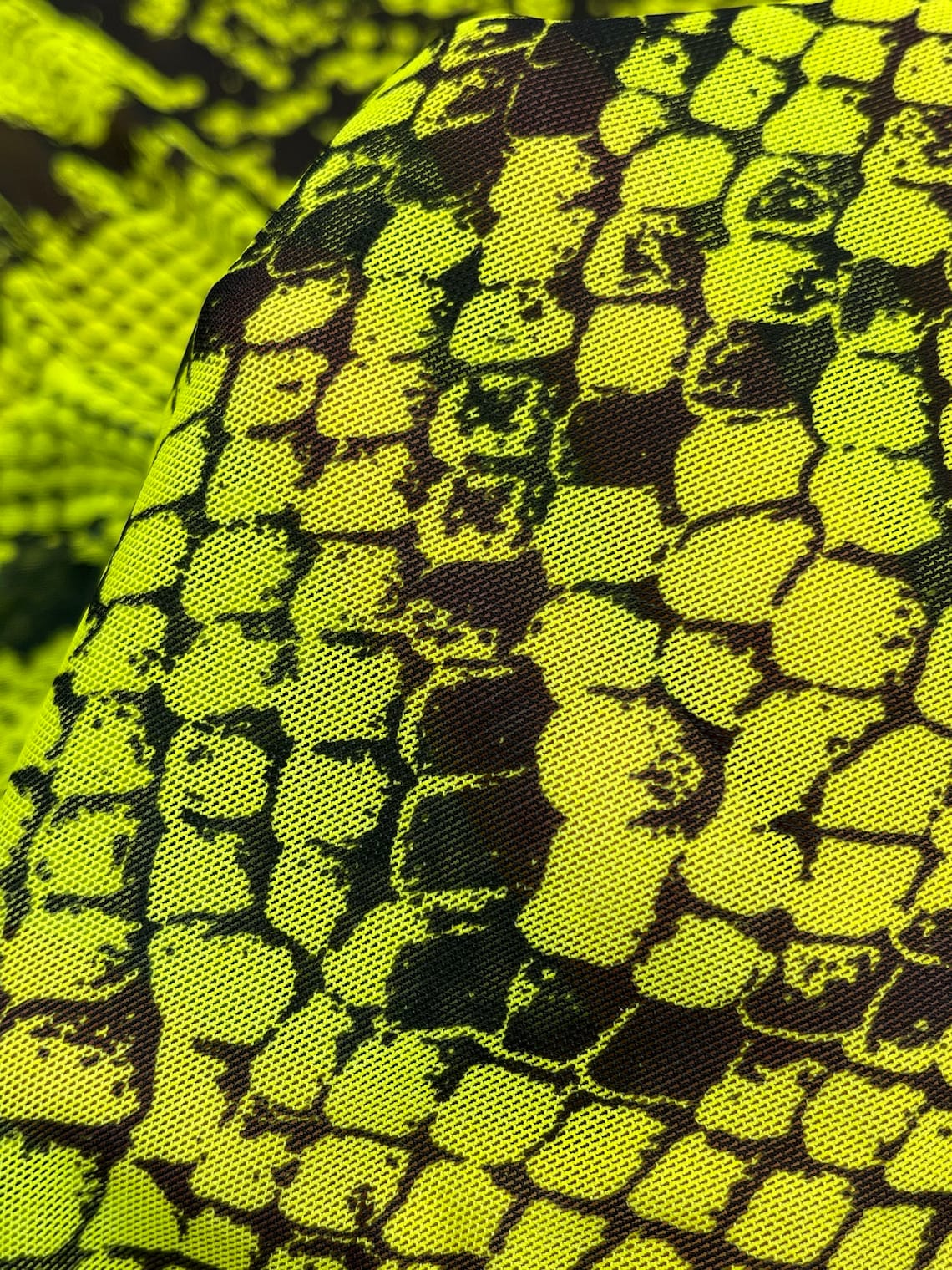 snake print bottoms