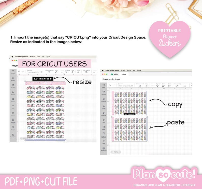 Emily Washi Addict, Planner Addict, Clear Skin, Printable Die Cut, Bullet Journal, Erin Condren Stickers image 2
