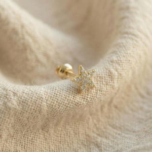 Tiny Pave Star Helix Stud Earrings: 18K Gold Plated Surgical Steel image 8