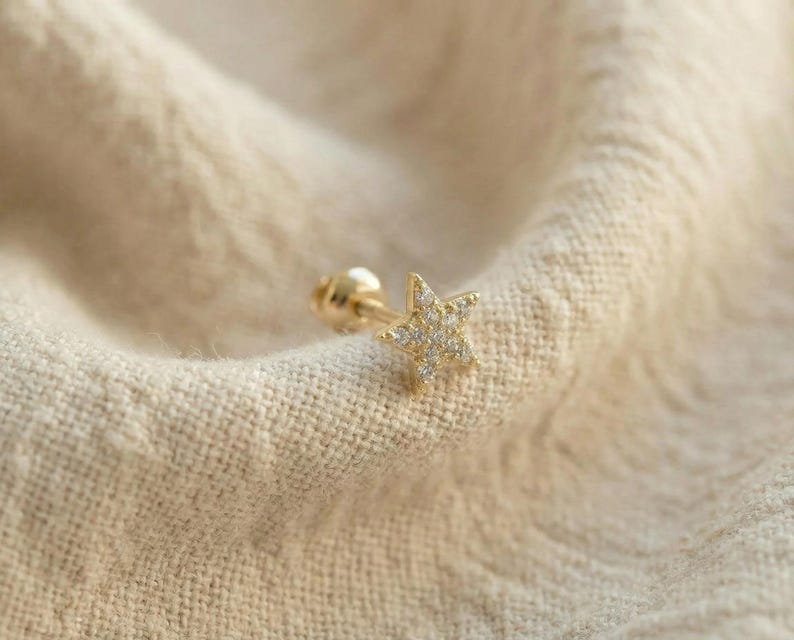 Tiny Pave Star Helix Stud Earrings: 18K Gold Plated Surgical Steel image 8