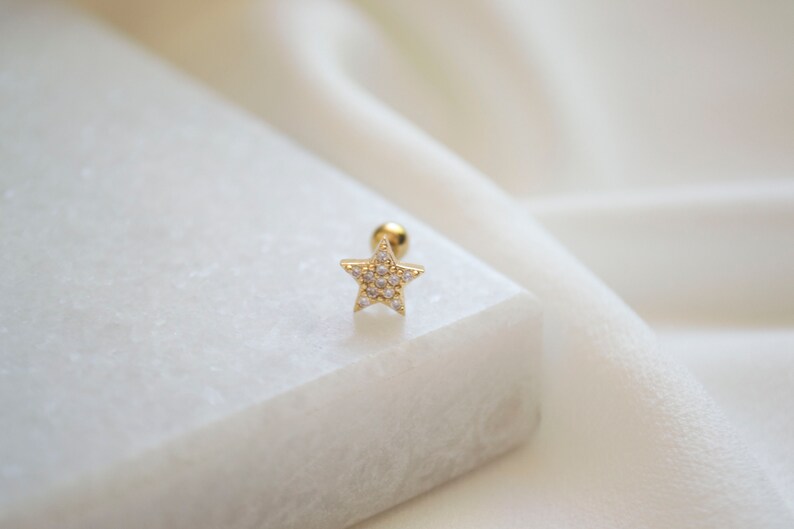 Tiny Pave Star Helix Stud Earrings: 18K Gold Plated Surgical Steel image 6