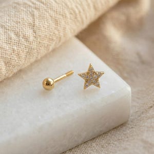 Tiny Pave Star Helix Stud Earrings: 18K Gold Plated Surgical Steel image 4