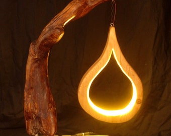 Floor lamp, designer lamp, driftwood lamp