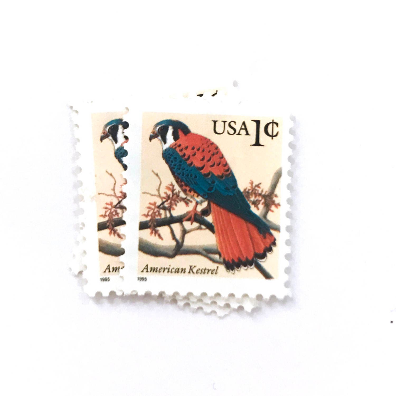 25 x American Kestrel 1 cent UNused US Postage Stamps Bird Etsy