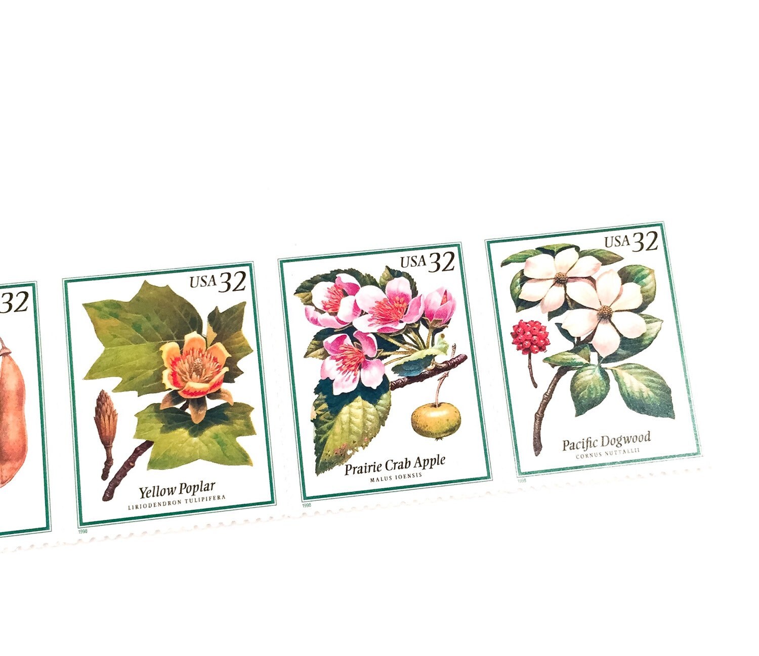 5 x Flowering Trees 32 cents 1992 Unused US Postage Stamps Etsy
