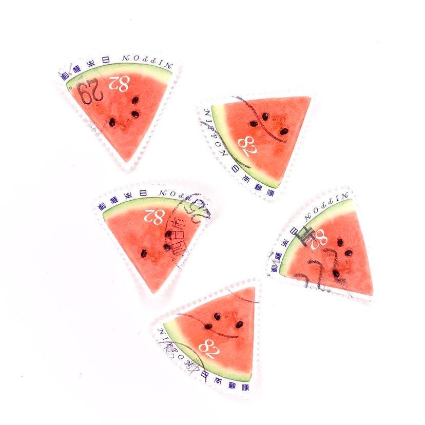 Watermelon Wax Seal Stamp Kit