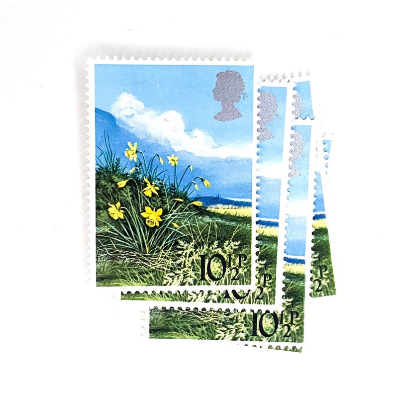 5 x Daffodils UNused GB Mint MNH 10p Vintage 1979 British Postage Stamps Spring Yellow Flowers crafts for seals card making mail