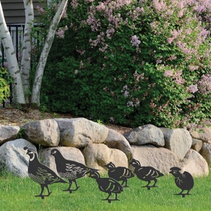 Op de afbeelding: Een set van zes zwarte metalen kwartel tuinornamenten. De kwartels zijn in verschillende poses afgebeeld, sommige staan en andere lopen. De kunst staat op een groen gazon, met een rotsmuur en bloeiende struik op de achtergrond.