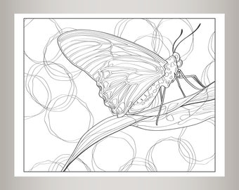 Butterfly Coloring Page - Butterfly Digi - Adult Coloring Page - Nature - Insect - Instant Download - Leaf - Moth - Butterfly drawing