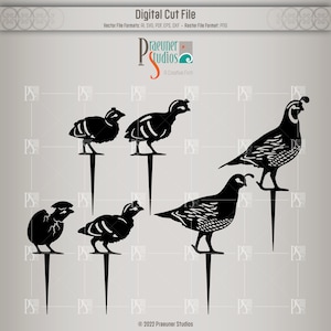 Quail Family, Bobwhite CNC Cut File, Laser, Glowforge, Cricut, Plasma Cutting Pattern, Multiple Formats, House Warming Garden Gift SVG, DXF