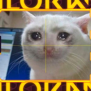 以下が含まれることがあります： 悲しい目をした白い猫が、ビデオゲームのスコープの照準の中にいます。猫は視聴者の方を見ています。背景は、暗い赤と黒のパターンで、黄色い文字で「VALORANT」と書かれています。