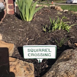 Squirrel Crossing Garden Sign – Cast Aluminum Yard Stake, Handmade in Hanover PA, Rust-Proof Outdoor Decor