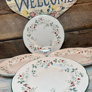Lindo conjunto de 5 (cinco) pratos de almoço Pfaltzgraff Winterberry de 9 1/8”, Natal, azevinho, entretenimento de feriado, visco,