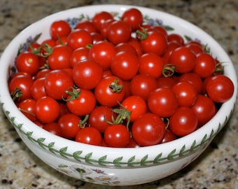 Cherry Tomato- SUGAR LUMP red heirloom- 65 day- Indeterminate- 25 seeds