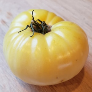 May include: A large, pale yellow tomato with a green stem. The tomato has a slightly rippled surface and a white stripe running down the side.