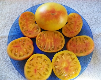 Heirloom Tomato- OLD GERMAN- 75 day yellow bicolor Indeterminate  25 seeds per pack