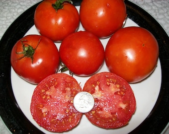 Heirloom Tomato- CARIBE- 70 day red Determinate- disease free-  25 seeds per pack