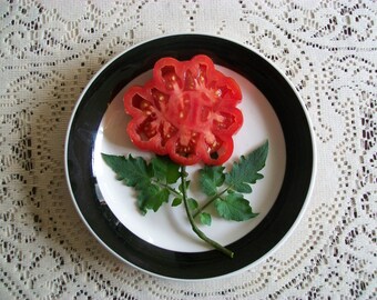 Heirloom Tomato- COSTOLUTO FIORENTINO- 80 day- red indeterminate- 25 seeds per pack