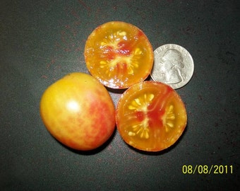 Cherry Tomato- ISIS CANDY-  bicolor cherry- heirloom- Indeterminate- 25 seeds