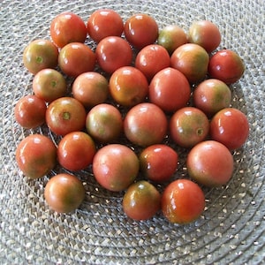 Cherry tomato- ROSELLA- 75 day purple INDETERMINATE- 25 seeds