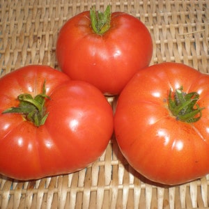 Heirloom Tomato- COUSTRALEE- 72 day red Indeterminate-  25 seeds per pack