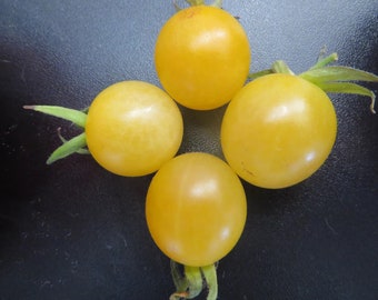 Cherry Tomato- Lemon Drop- heirloom- 85 day- INDETERMINATE- 25 seeds