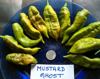 Hellish hot pepper-  Bhut jolokia MUSTARD / GREEN Ghost Pepper-  25 seeds