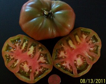 Heirloom Tomato- BLACK GIANT- aka Chernyi- 70 day- Black- Indeterminate- 25 seeds per pack