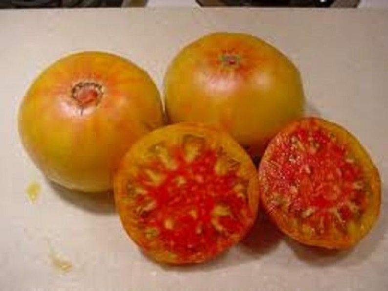 Heirloom Tomato OAXACAN JEWEL 85 day orange and red Etsy