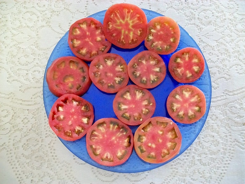 Heirloom Tomato PURPLE PERFECT 75 to 85 day PURPLE Etsy