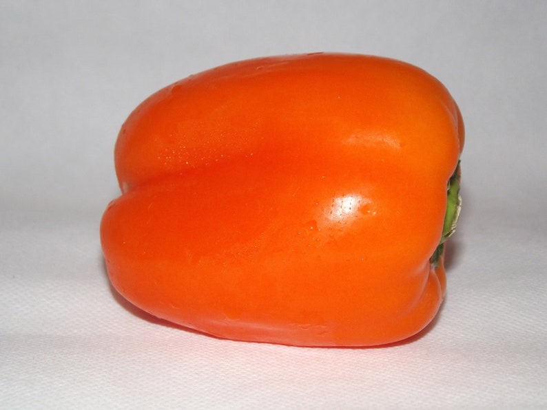 Sweet Pepper Orange Sun 75 Days to Harvest 25 Seeds Etsy