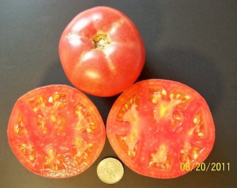 Heirloom Tomato- Eva Purple Ball-  70 day purple Indeterminate-  25 seeds per pack