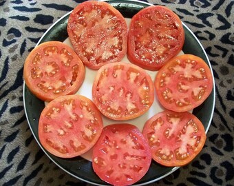 Heirloom Tomato- DRUZBA- 85 day pink Indeterminate-  25 seeds per pack