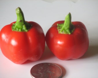 Sweet Pepper- BABY BELL RED- 78 days to harvest- 25 seeds