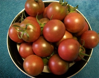 Cherry tomato- Black Cherry- 65 day INDETERMINATE- 25 seeds