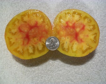 Heirloom Tomato- PINEAPPLE- 85 day- YELLOW streaked- Indeterminate - 25 seeds