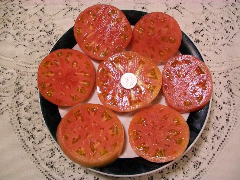 Heirloom Tomato PURPLE PERFECT 75 to 85 day PURPLE Etsy