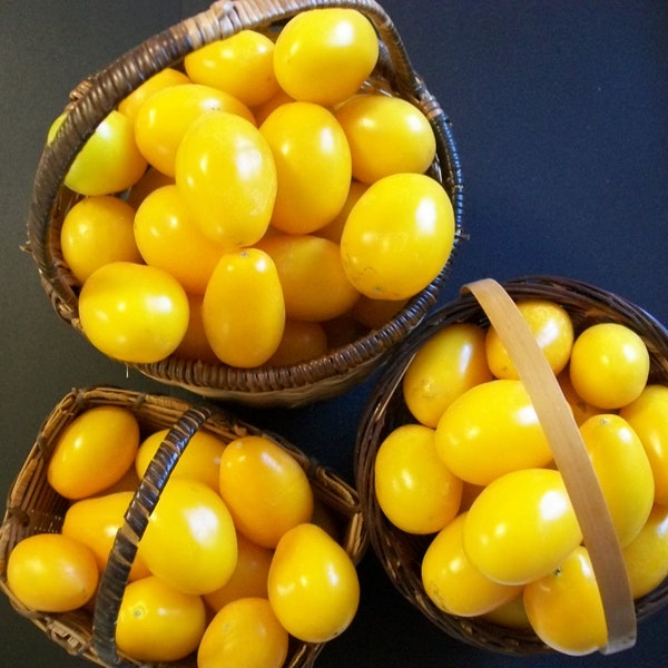 Cherry Tomato- Yellow Plum- heirloom- 70 day-INDETERMINATE- 25 seeds