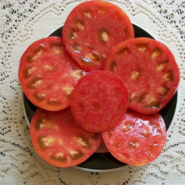 Heirloom Tomato- Trip-L-Crop- Italian Tree Tomato- 90 day MONSTER Indeterminate, potato leaf- 25 seeds