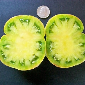 May include: A cross-section of a green and yellow heirloom tomato, revealing its inner structure. The tomato is cut in half, showcasing the vibrant colors and textures. A US quarter is placed next to the tomato for size comparison.