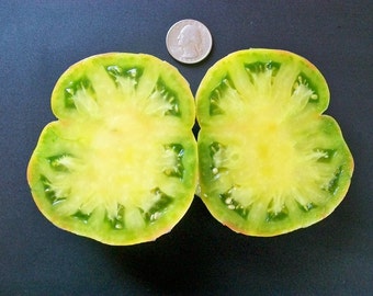 Heirloom Tomato- Aunt Ruby's German Green- 79 day GREEN Indeterminate- 25 seeds