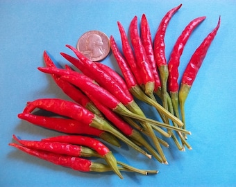 Hot Pepper- CHI CHIEN- 75 day- 70,000 scovilles- very hot- recipe included- 25 seeds