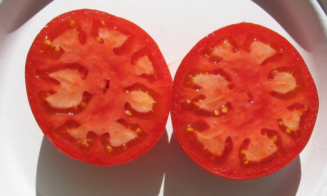 Heirloom Tomato MANALUCIE Heat Tolerant 82 Day Red Etsy