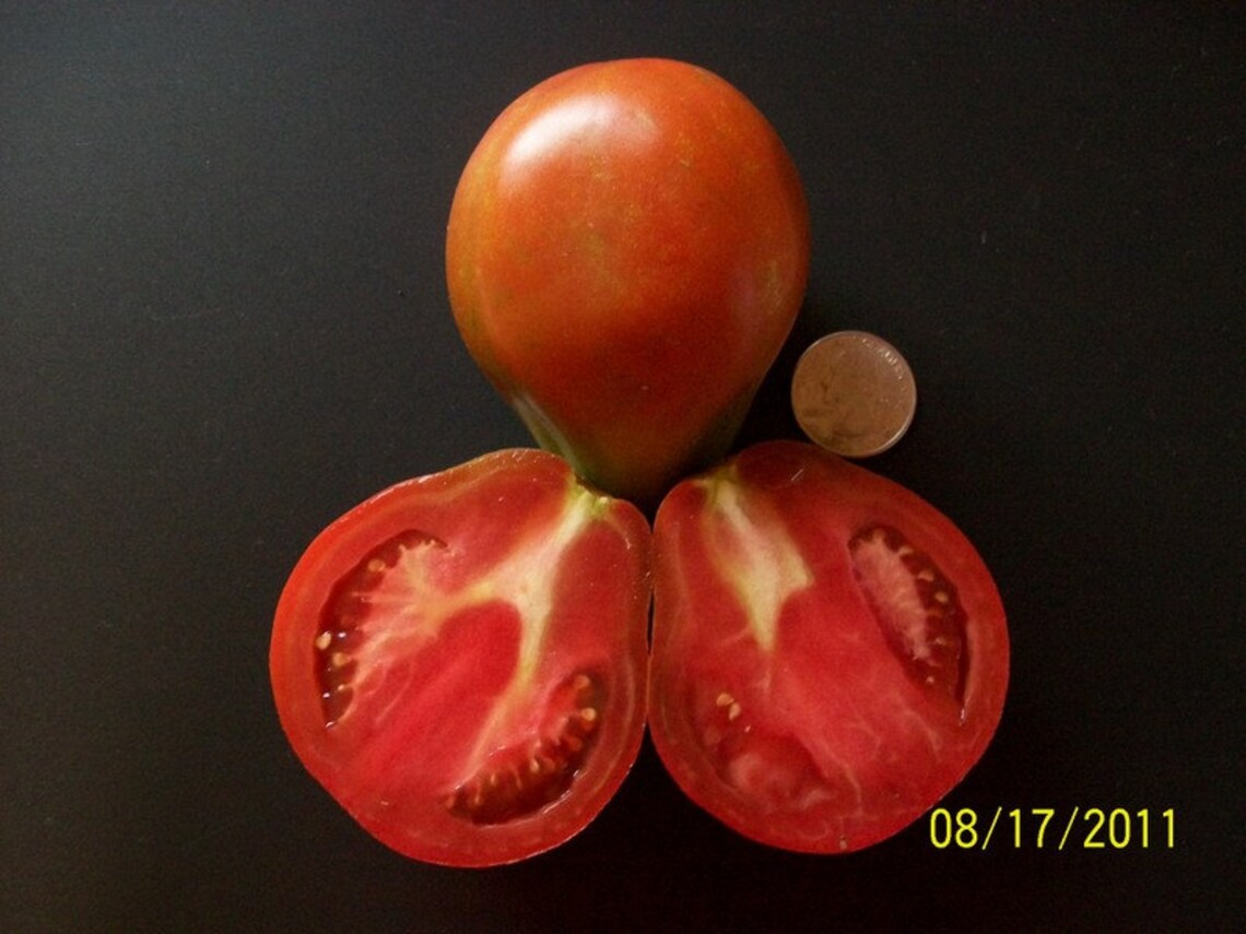 Heirloom Tomato JAPANESE BLACK TRIFELE 75 Day Black Etsy